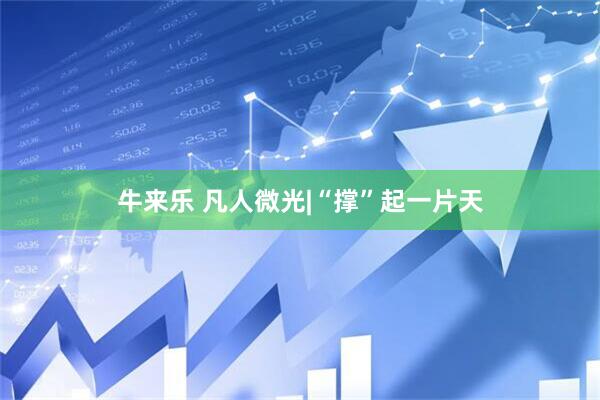 牛来乐 凡人微光|“撑”起一片天