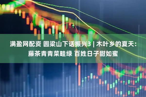 满盈网配资 圆梁山下话振兴3 | 木叶乡的夏天：藤茶青青菜畦绿 百姓日子甜如蜜