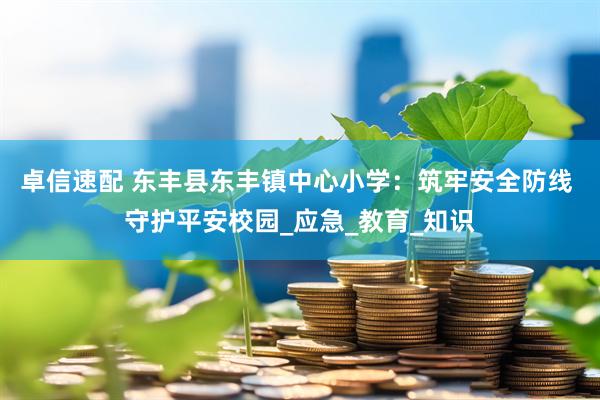 卓信速配 东丰县东丰镇中心小学：筑牢安全防线 守护平安校园_应急_教育_知识