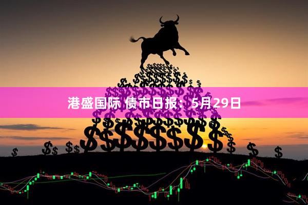 港盛国际 债市日报：5月29日