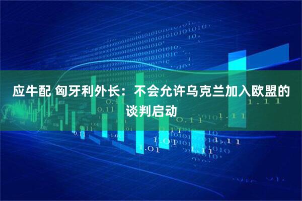 应牛配 匈牙利外长：不会允许乌克兰加入欧盟的谈判启动